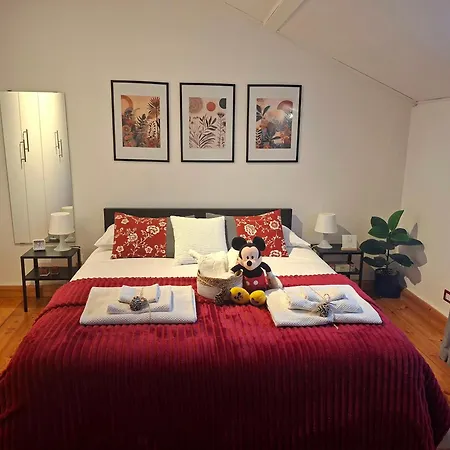 Nicuzzaduci Catánia